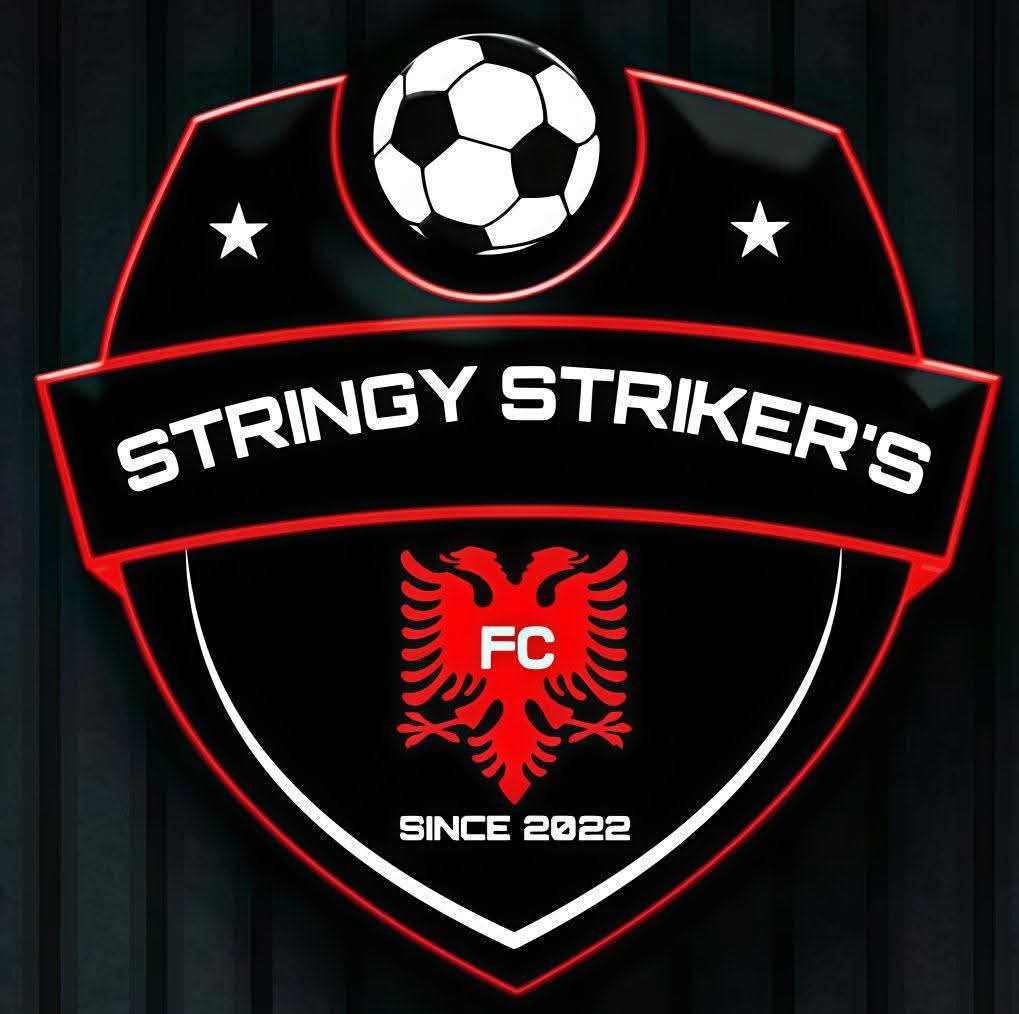 Team Logo